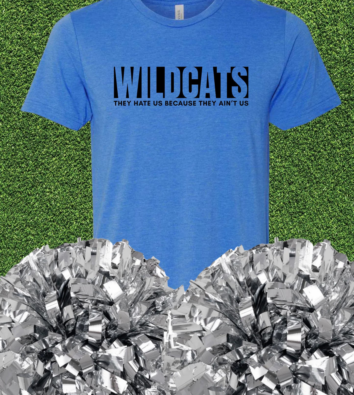 Rains Wildcats They Ain’t Us Tee