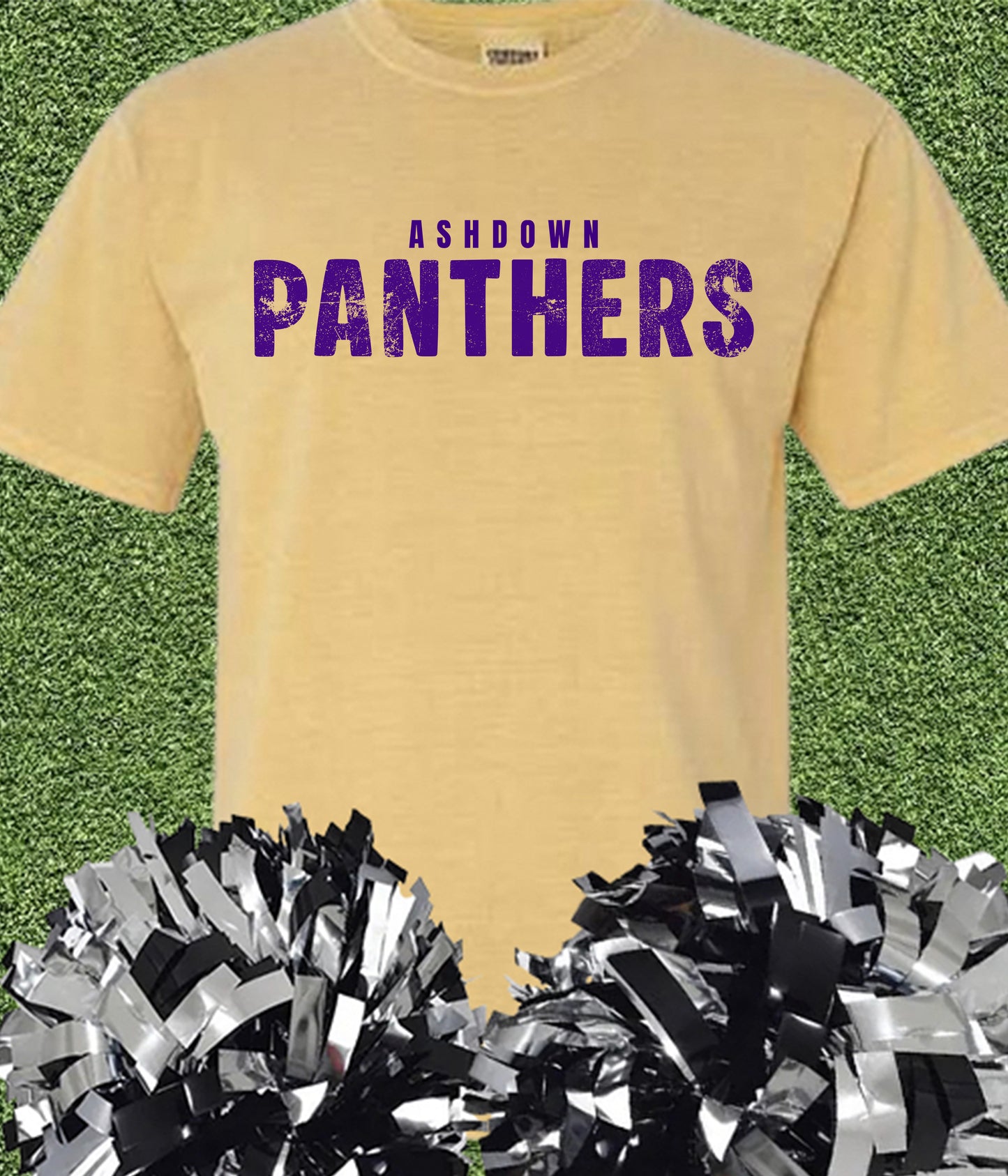 Ashdown Panthers Vintage Tee