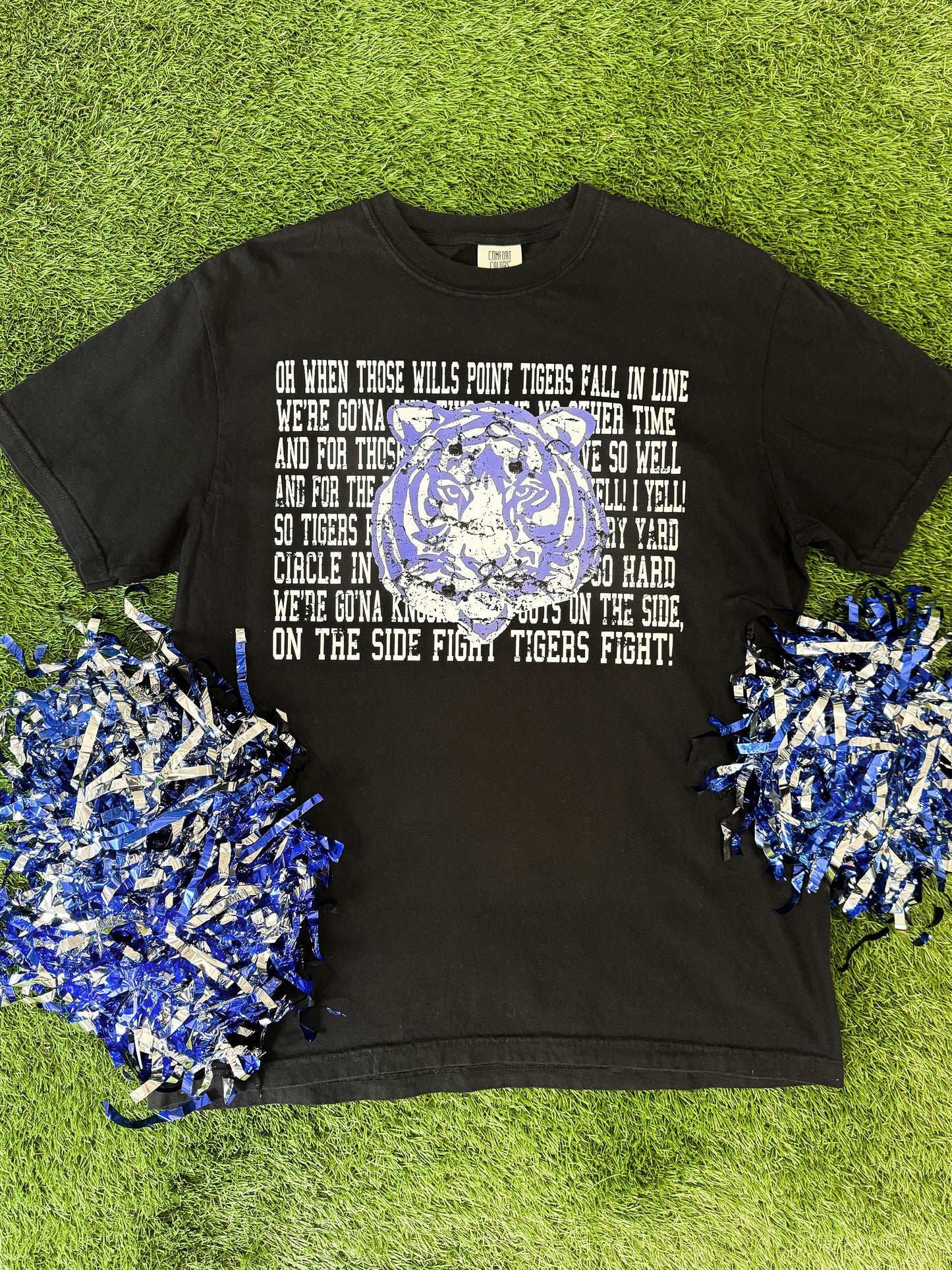 Wills Point Tigers School Song Tee