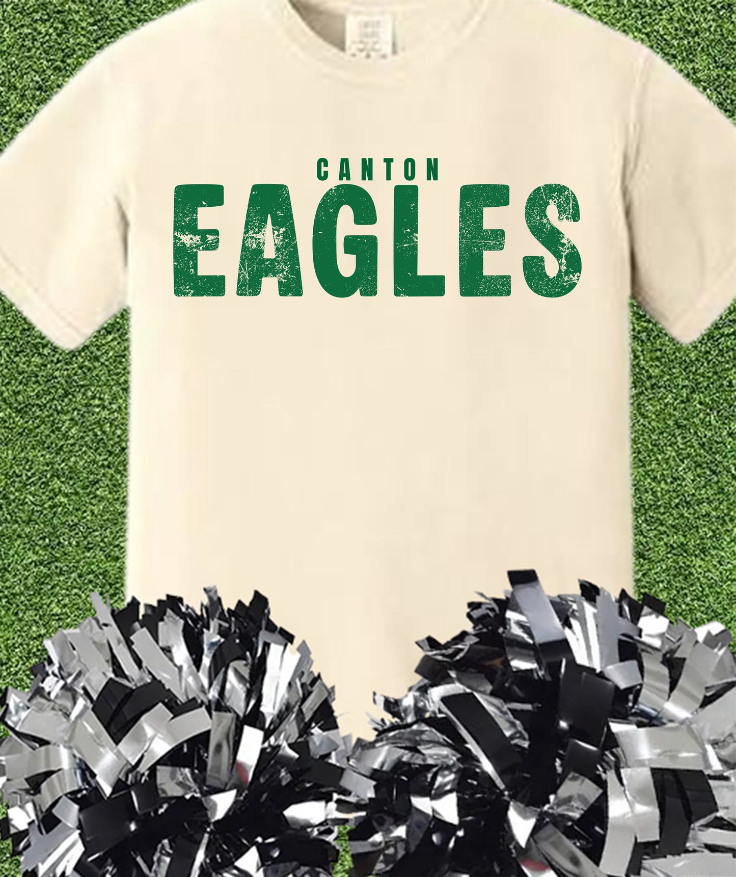 Canton Eagles Vintage Tee