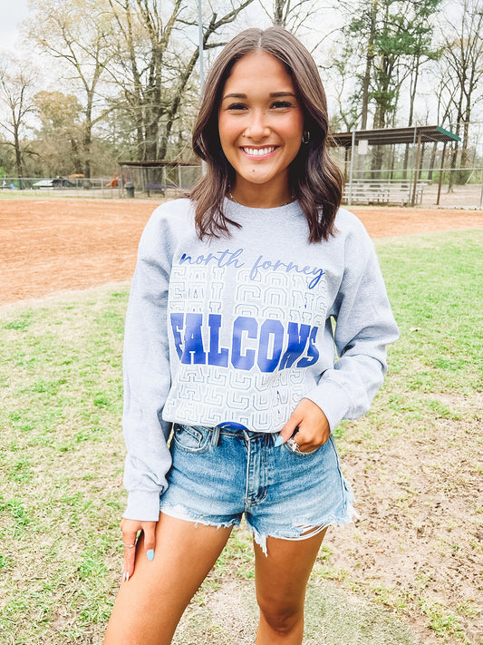 North Falcons Echo Sweatshirt